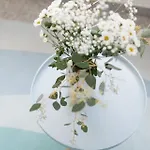 Birke 15 诺德奈