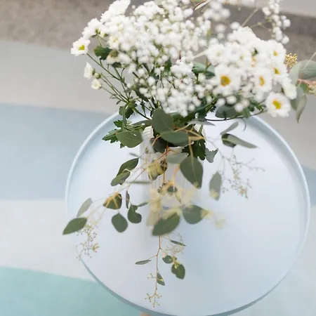 Birke 15 Apartment *